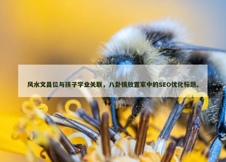 风水文昌位与孩子学业关联，八卦镜放置家中的SEO优化标题。